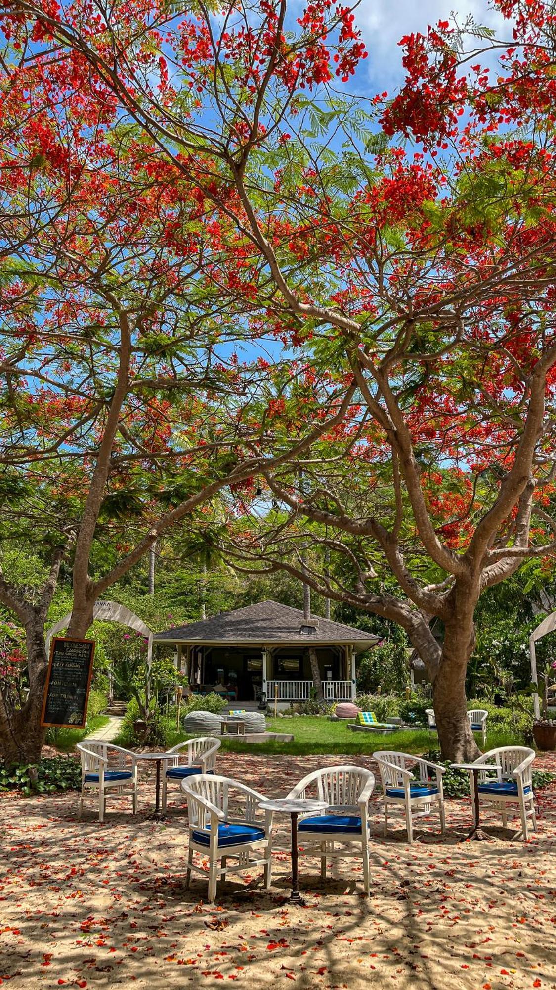 Vayam Boutique Resort กิลิอาซาฮาน ภายนอก รูปภาพ